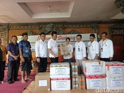 Puluhan Sapi Terjangkit LSD di Jembrana, Kementan Salurkan 500 Dosis Vaksin