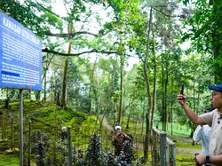 Menbud Tinjau Situs Cibalay, Dorong Riset & Pelestarian Warisan Budaya