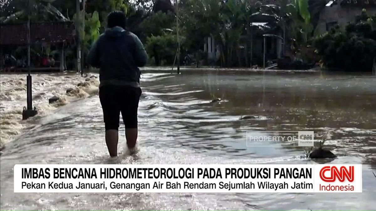 VIDEO: Ancaman Bencana Hidrometeorologi Terhadap Produksi Pangan