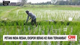 VIDEO: Petani India Resah, Ekspor Beras ke Iran Terhambat
