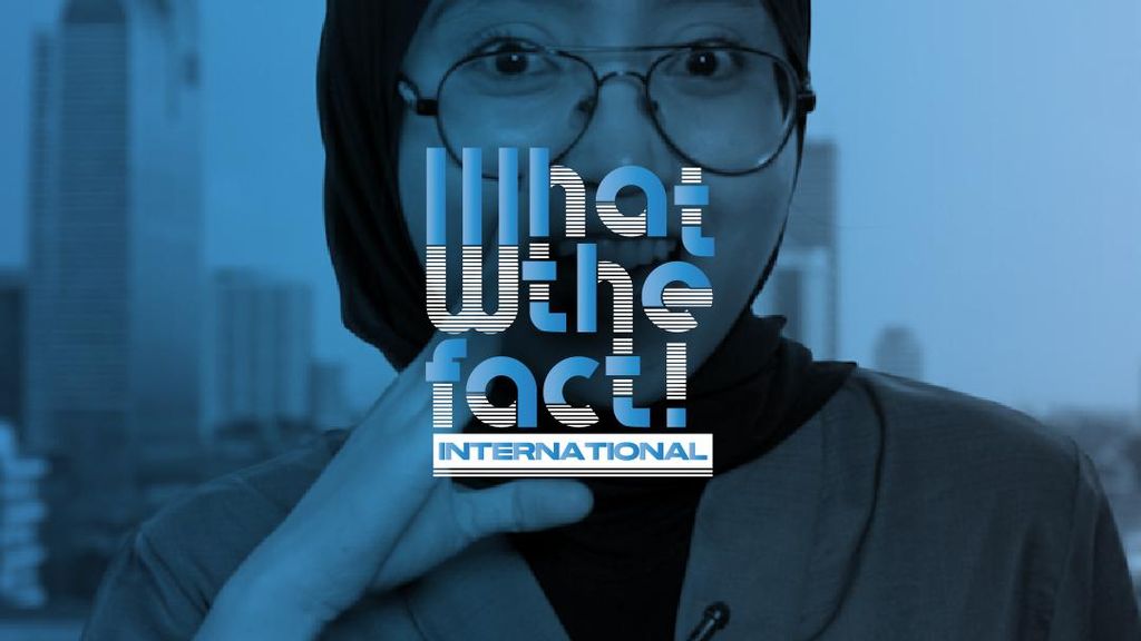 Ini Cara Jepang Sukses Hijaukan Lagi Hutannya! RI Gimana?