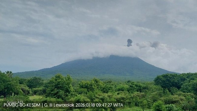 Awan melingkar dan bertumpuk muncul jelas di puncak Gunung Ile Lewotolok pada Kamis (29/01) sore.
