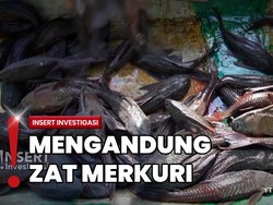Berburu Ikan Sapu-sapu di Kali Ciliwung yang Dianggap Hama Sungai