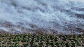 FOTO: Usai Banjir, Aceh Barat Dilanda Kebakaran Hutan & Lahan