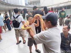 Gembiranya Anak-anak Bisa Bermain dengan Satwa Unik di dalam Mal