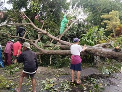 Dampak Hujan Angin di Sleman: 137 Rumah Rusak-1 Orang Terluka