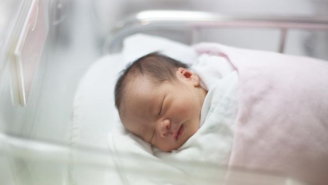 Cara Daftar BPJS Kesehatan Bayi Baru Lahir agar Langsung Aktif Digunakan