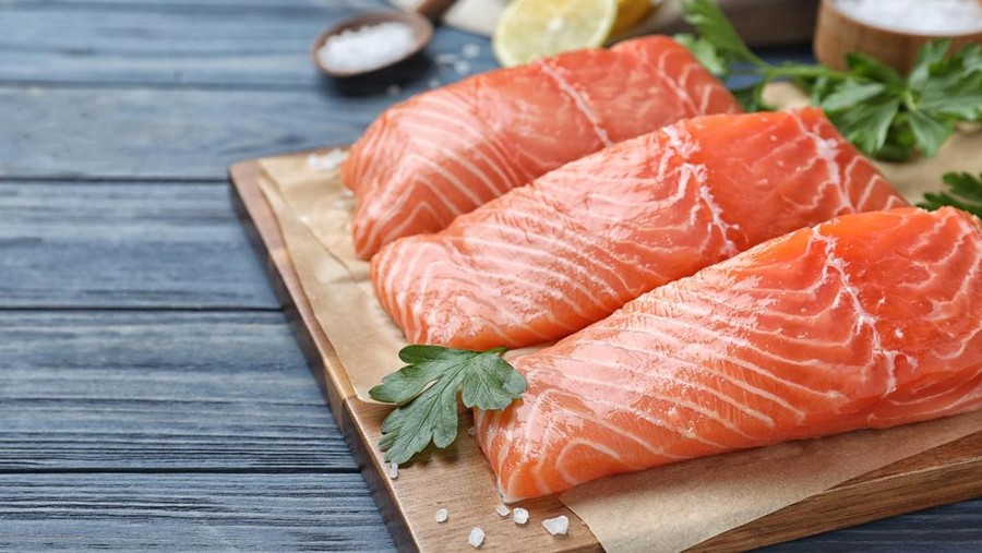 Ilustrasi ikan salmon