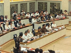 Pemerintah Butuh Rp 153 T buat Rehabilitasi 12 Juta Ha Lahan Kritis