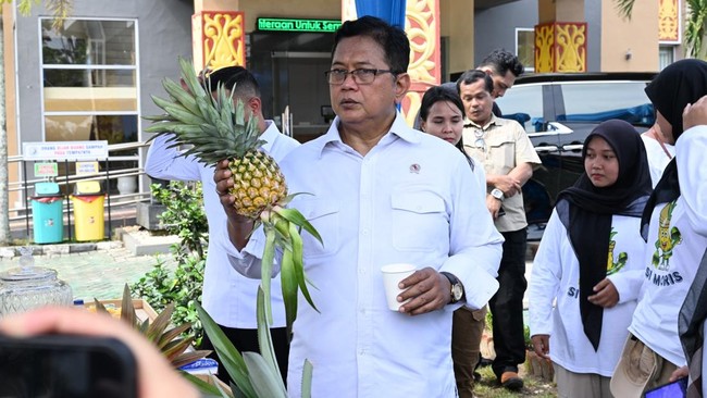 Wakil Menteri Transmigrasi Viva Yoga menerima aspirasi petani nanas di Riau, Ia berkomitmen mendukung reforma agraria dan pengembangan budidaya nanas.