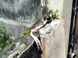 Viral Video Kejar-kejaran Antakelompok di Senggotan, Polisi Temukan Molotov