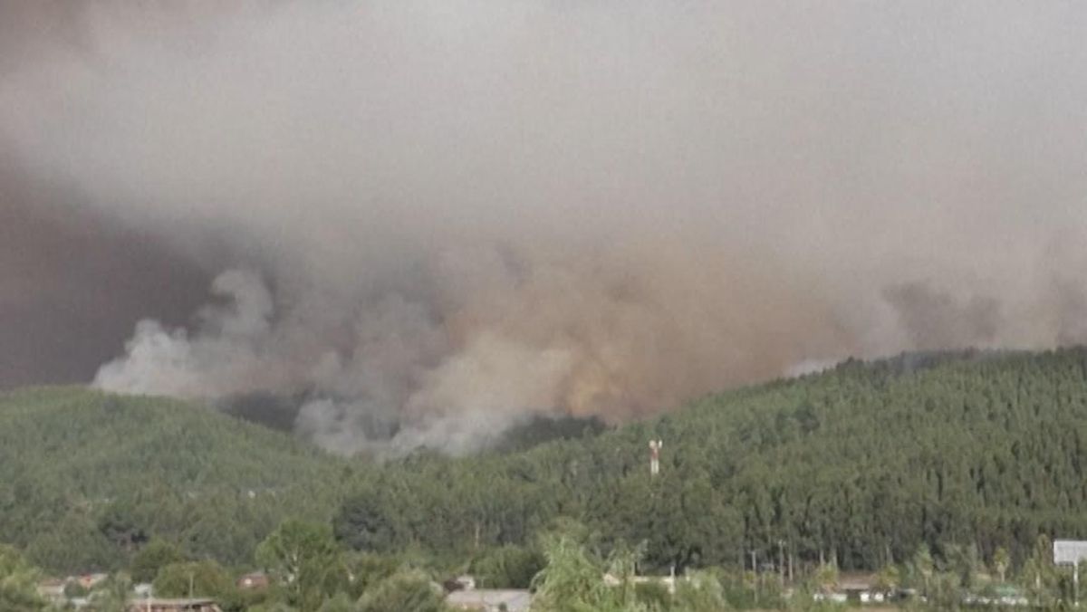 Chile Dilanda Kebakaran Hutan Besar, 18 Orang Tewas