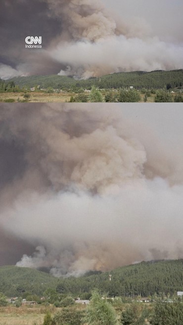 Chile Dilanda Kebakaran Hutan Besar, 18 Orang Tewas