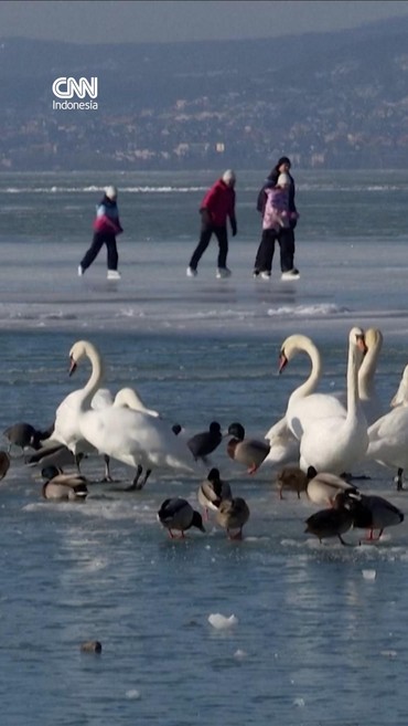 Ramai-ramai Warga Hungaria Berseluncur di Danau Balaton yang Membeku