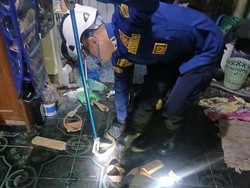 Ular Ngumpet di Lemari Warga Bantul, Ketahuan Berkat Teredus Kucing