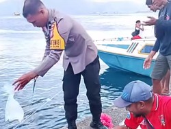 Viral Polisi di Ternate Buang Kantong Plastik Saat Musnahkan Miras ke Laut