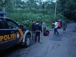 Komplotan Pencurian Sapi di Probolinggo Digagalkan, 1 Pelaku Ditangkap