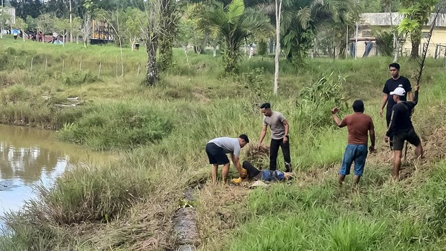 Seorang ibu paruh baya yang diterkam buaya di Waduk Persemaian, Kota Tarakan, Kalimantan Utara, berhasil diselamatkan anggota Polres Tarakan.