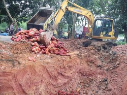Polres Pelalawan Musnahkan 22 Ton Bawang Ilegal Hasil Penyelundupan