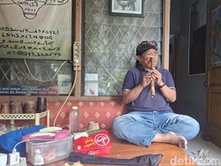 Menyusuri Alas Tua Depok, Warisan Rotan dan Cerita Leluhur