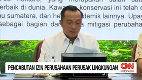 VIDEO: Pencabutan Izin Perusahaan Perusak Lingkungan