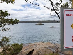 Dunia Hari Ini: Puluhan Pantai di Australia Tutup karena Serangan Hiu