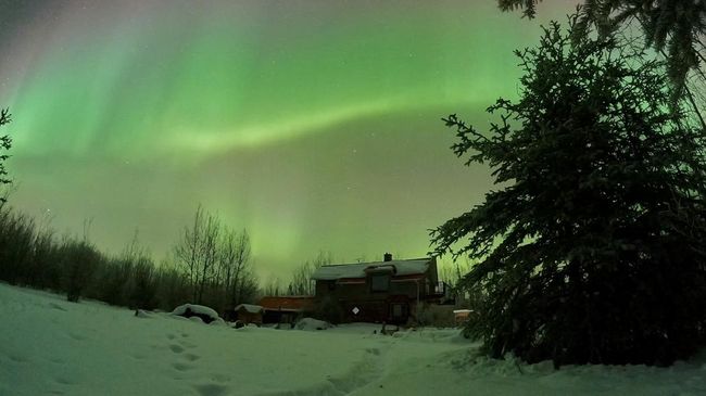 4 Kota Terbaik di Norwegia untuk Berburu Aurora Memukau