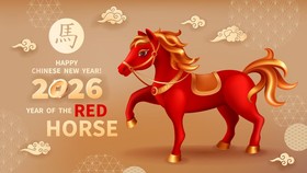 Investasi Cuan di Tahun Kuda Api: Main Aman atau Agresif?