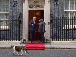 Saat Larry the Cat Sambut Prabowo di Downing Street London