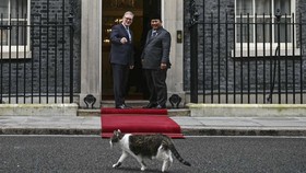 FOTO: Momen Kucing 'Kenegaraan Inggris' Larry The Cat Sambut Prabowo