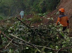Jalan Magelang-Boyolali Via Ketep Tertutup Longsor