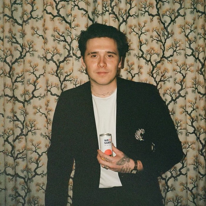 Brooklyn dan Nicola Peltz tercatat berinvestasi di properti mewah Los Angeles. Mereka membeli hunian di kawasan tersebut/Foto: Instagram/brooklynpeltzbeckham