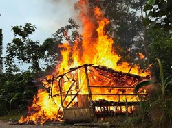 Pelaku Sulap Perkemahan Sibolangit Jadi Sarang Narkoba Bekerja Terorganisir