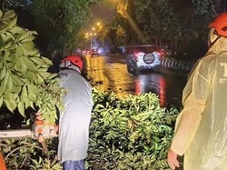 Cuaca Ekstrem Terjang Denpasar, Anak Luka dan Puluhan Rumah Rusak