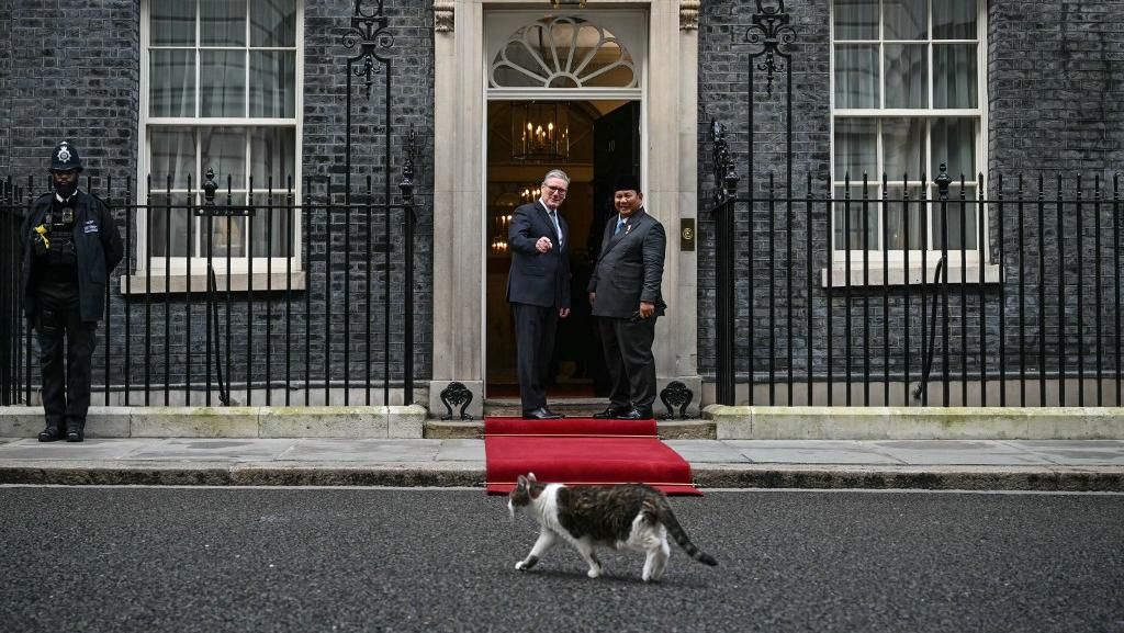 Temui PM Starmer, Prabowo Disambut Larry The Cat di Downing Street 10
