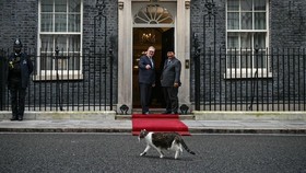 Temui PM Starmer, Prabowo Disambut Larry The Cat di Downing Street 10