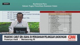 VIDEO: Prabowo Cabut Izin Usaha 28 Perusahaan Pelanggar Lingkungan