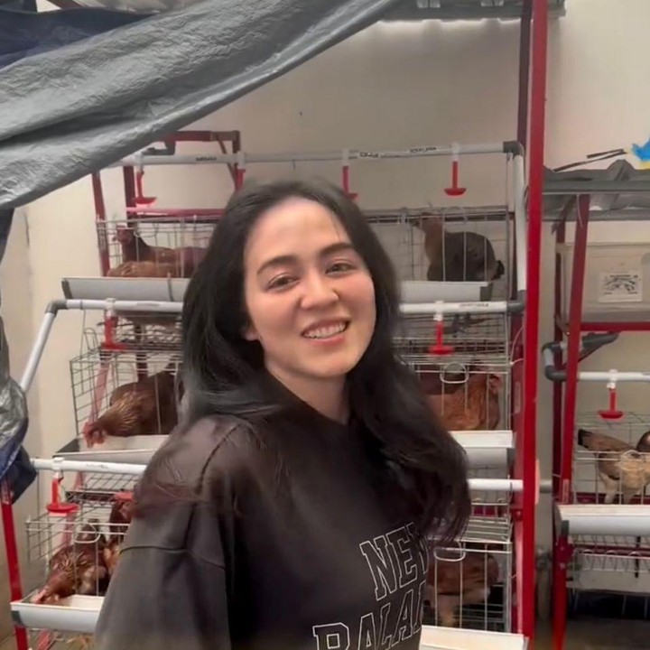 <p>Dalam unggahannya, Tiffany terlihat memantau peternakannya saat memanen telur ayam kampung. Sementara itu, Jevier tampak mengabadikan momen tersebut untuk dibagikannnya lewat Instagram. "Pembaruan ayam lagi. Kita mau ambil telur, dan ini ada beberapa yang udah diambil tadi. Berdoa biar aku enggak dipatok," ungkap Tiffany, dikutip dari akun Instagram <em>@jevierjustin</em>. (Foto: Instagram @jevierjustin)</p>