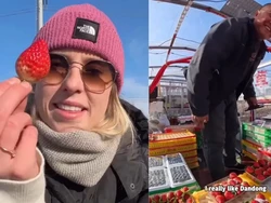 Viral! Strawberry China dengan Rasa dan Tekstur Creamy Alami