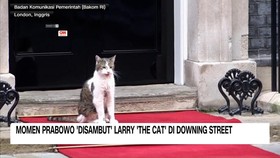 VIDEO: Momen Prabowo 