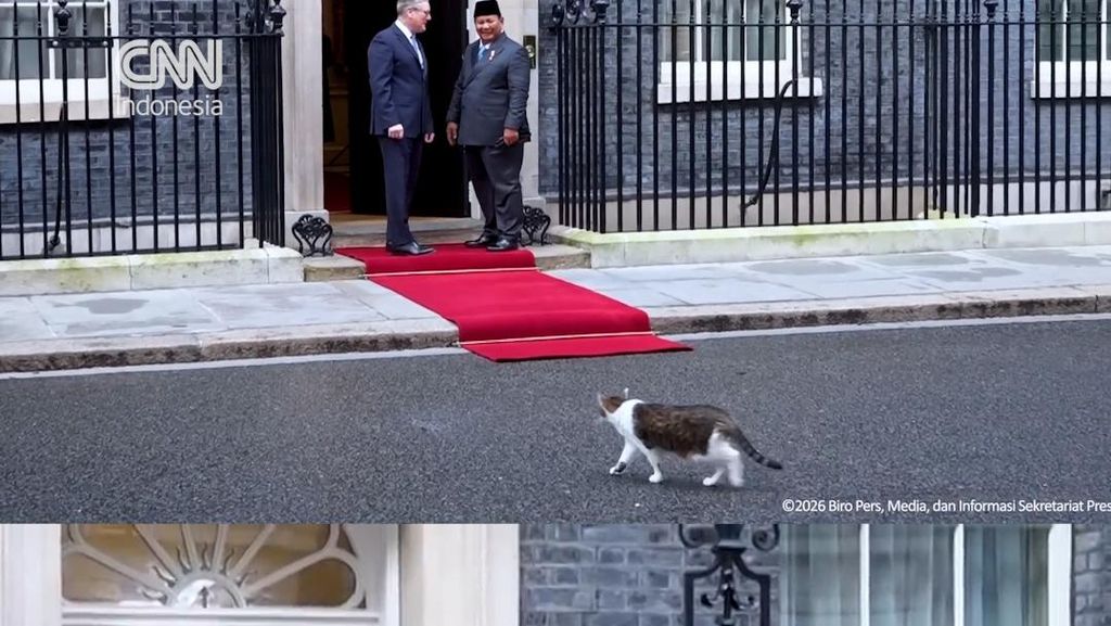 Momen Prabowo Disambut Larry The Cat Setibanya di Kantor PM Inggris