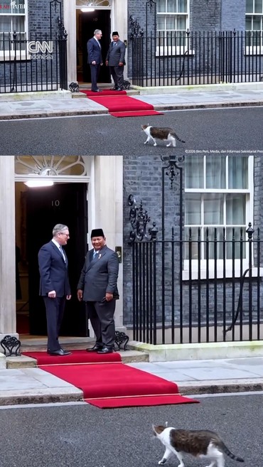 Momen Prabowo Disambut Larry The Cat Setibanya di Kantor PM Inggris