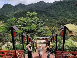 Hidden Dragon, Kebun Durian Jadi Destinasi Wisata