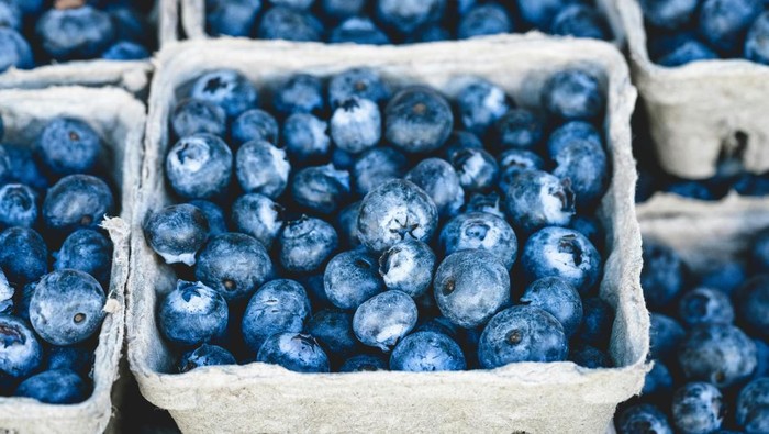 Blueberry. Blueberry mengandung vitamin C, A, dan antosianin yang dapat membantu melindungi kulit dari kerusakan akibat sinar matahari, stres, dan polusi.