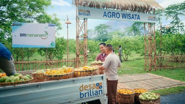 Hingga Desember 2025, program Desa BRILiaN telah memberdayakan 5.000 desa agar mampu mengoptimalkan potensi ekonomi lokal.