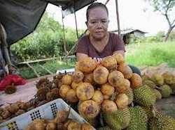 Si Manis Buah Kapul yang Sudah Sulit Ditemukan