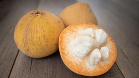 Ternyata Buah Kecapi Sangat Menyehatkan, Ini 9 Manfaatnya