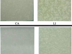 Kertas Berminyak Jadi Kemasan Ramah Lingkungan, Ini Inovasi BRIN