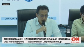 VIDEO: KLH Tindaklanjuti Pencabutan Izin 28 Perusahaan di Sumatra