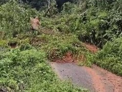 Longsor Lumpuhkan Dua Akses Vital di Manggarai Barat